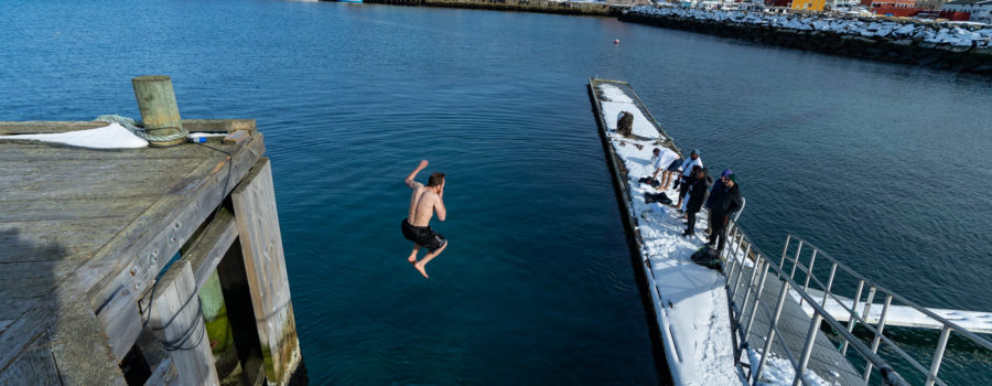 Daily Harbor Photos and Polar Plunge Animation