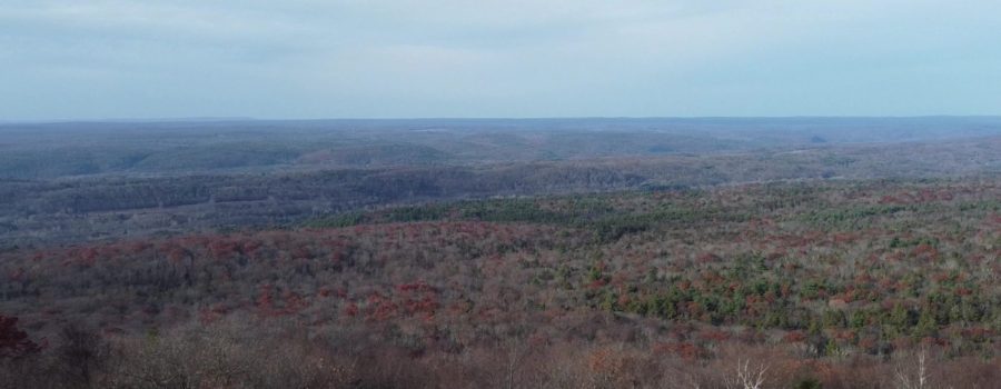 DJI Mini 2 and the Delaware River Valley